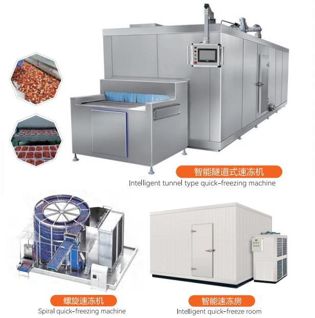 Small IQF Tunnel Freezer