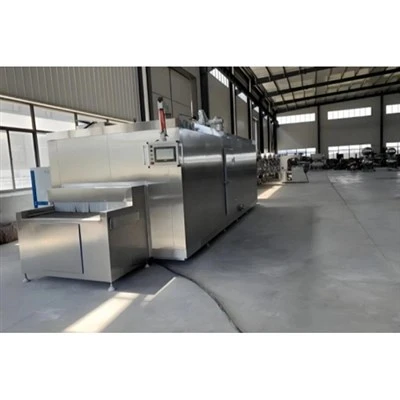 Automatic Continuous Freeze-Drying Equipment